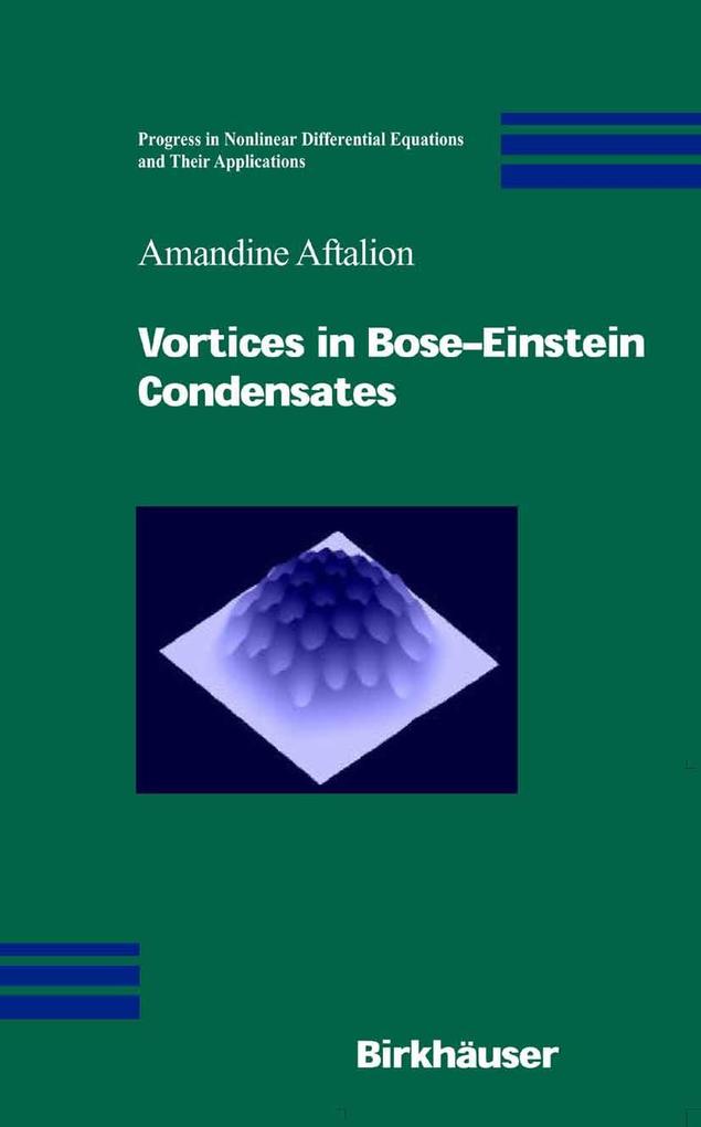 Produktbild: Vortices in Bose-Einstein Condensates | Amandine Aftalion