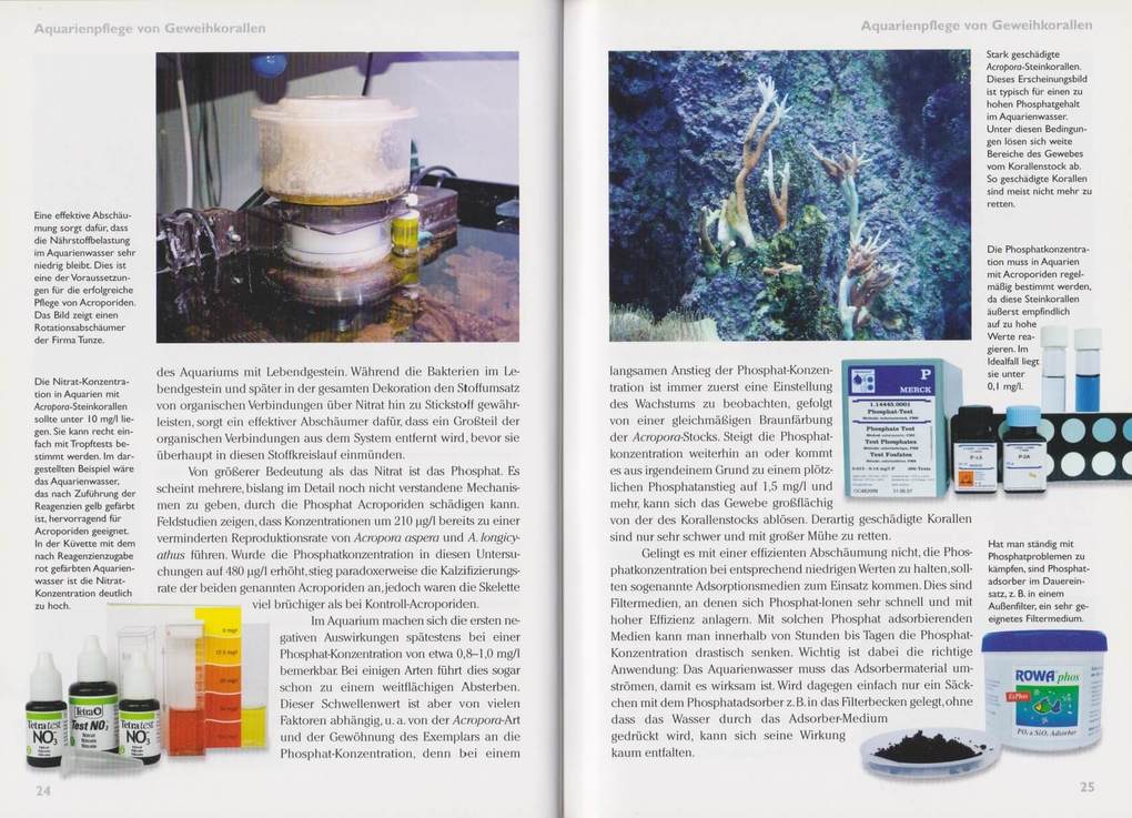 Weitere Ansicht: Art für Art 15. Acropora-Geweihkorallen | Dieter Brockmann