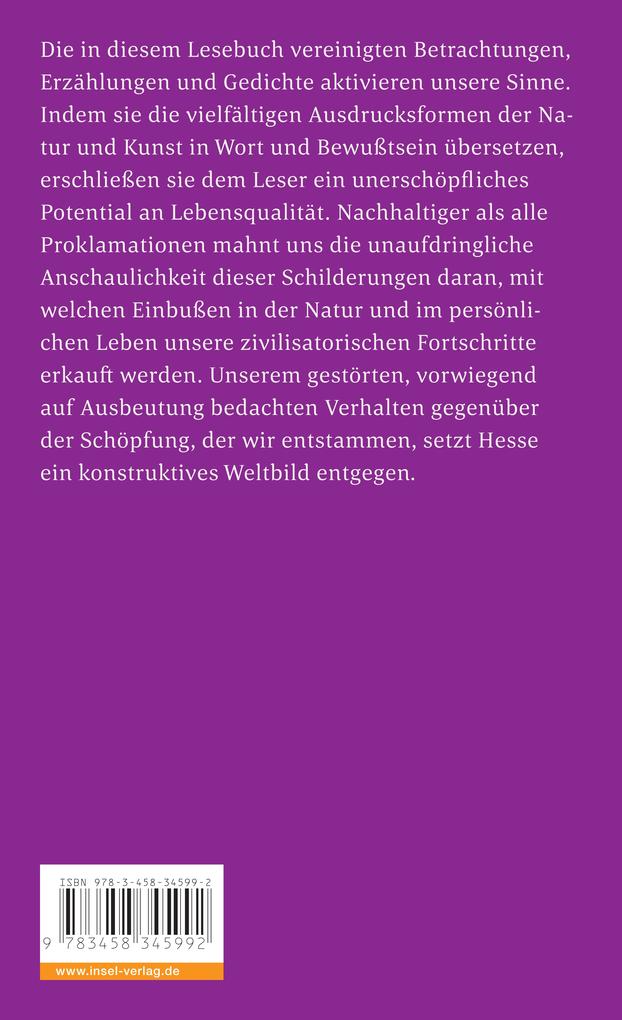 Weitere Ansicht: Mit dem Erstaunen fängt es an | Hermann Hesse