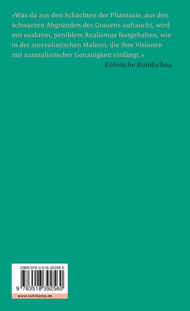 Weitere Ansicht: Stadt ohne Namen | Howard Phillips Lovecraft, H. P. Lovecraft