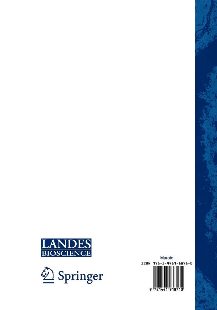 Weitere Ansicht: Somitogenesis