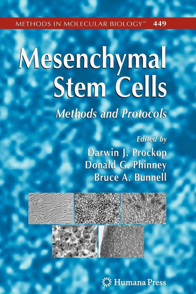Produktbild: Mesenchymal Stem Cells
