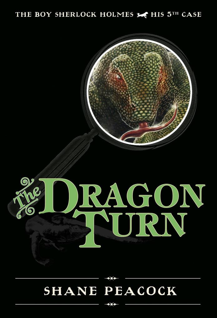 Produktbild: The Dragon Turn | Shane Peacock