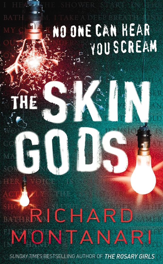 Produktbild: The Skin Gods | Richard Montanari