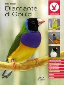 Produktbild: Diamante di gould | Michel Bolzinger
