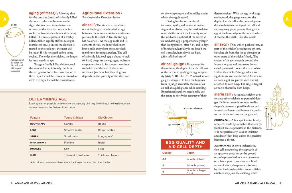 Weitere Ansicht: The Chicken Encyclopedia | Gail Damerow
