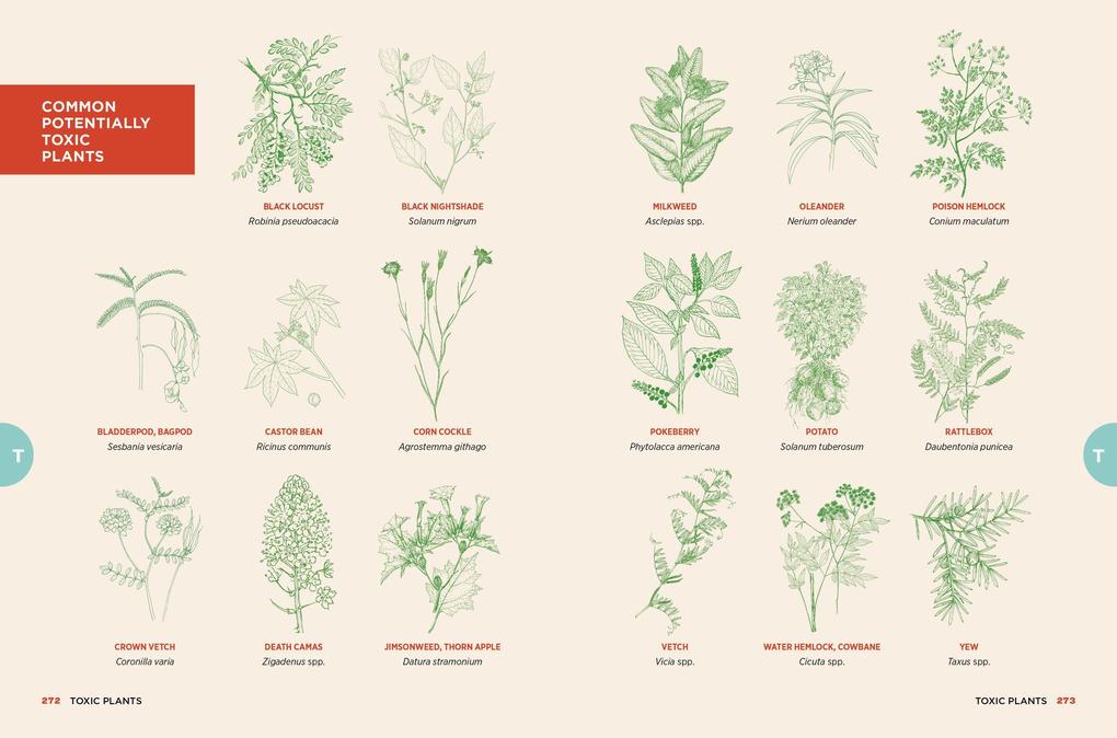 Weitere Ansicht: The Chicken Encyclopedia | Gail Damerow