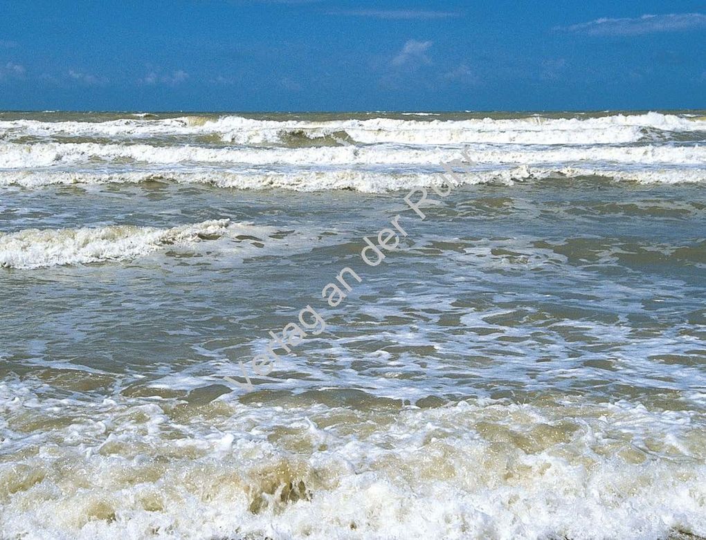 Weitere Ansicht: Wassergeräusche-Spiel. Water Sounds. CD