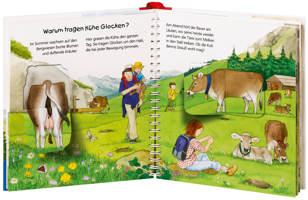 Weitere Ansicht: Wieso? Weshalb? Warum? junior, Band 42: In den Bergen | Andrea Erne