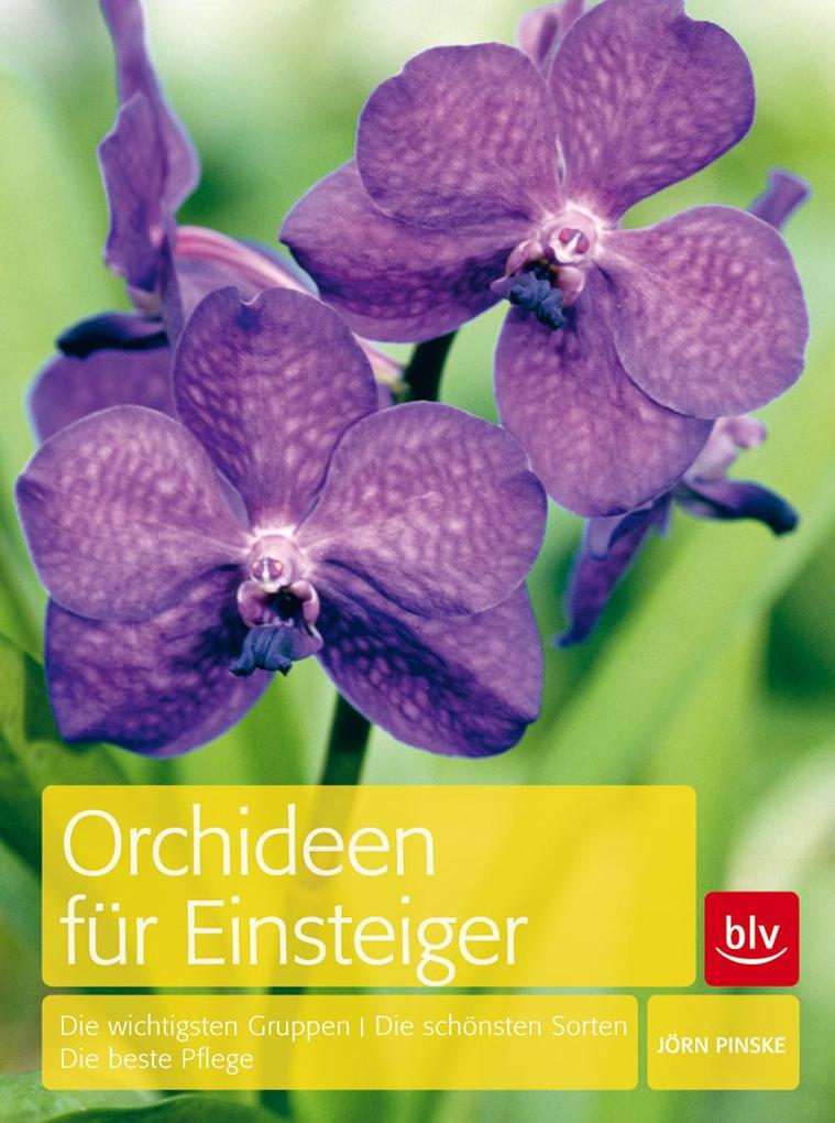 Produktbild: Orchideen für Einsteiger | Jörn Pinske