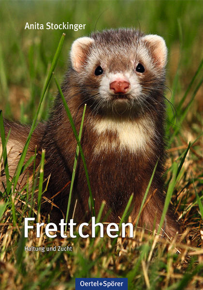 Produktbild: Frettchen | Anita Stockinger
