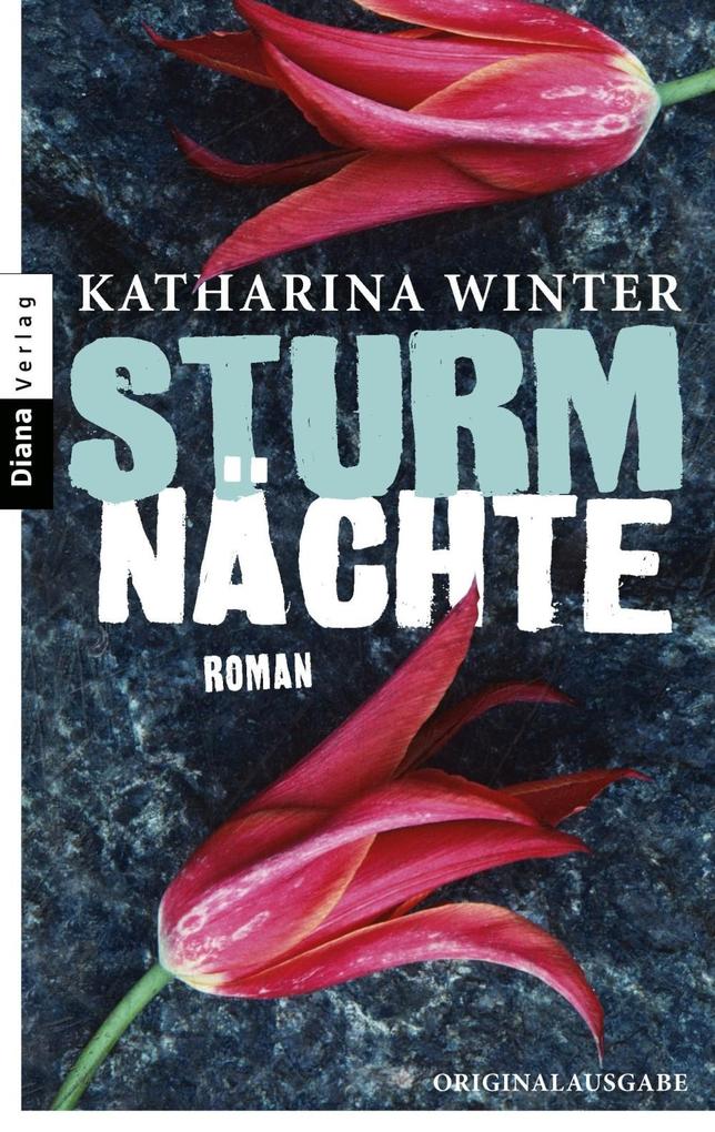 Produktbild: Sturmnächte | Katharina Winter
