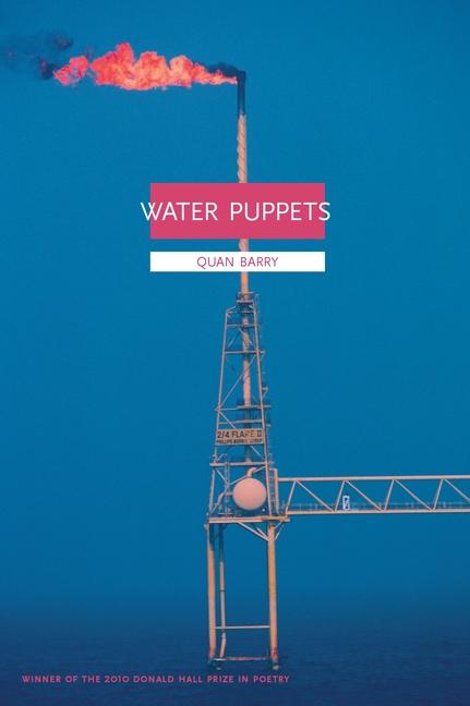 Produktbild: Water Puppets | Quan Barry