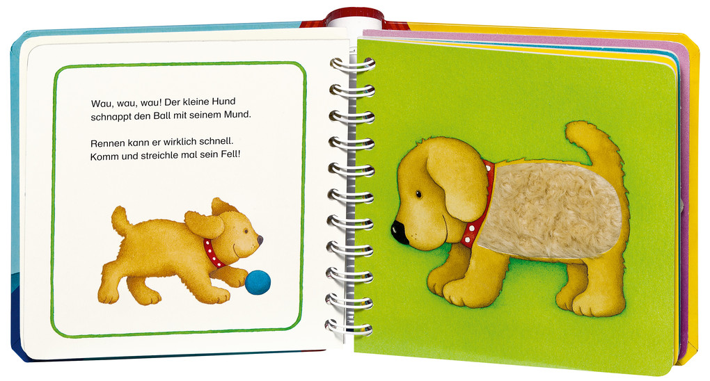 Weitere Ansicht: Mein erstes Fühlbuch | Sandra Grimm