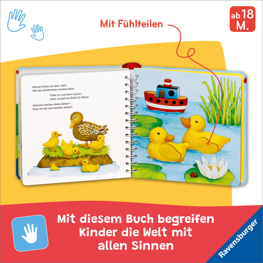 Weitere Ansicht: Mein erstes großes Tier-Fühlbuch | Sandra Grimm