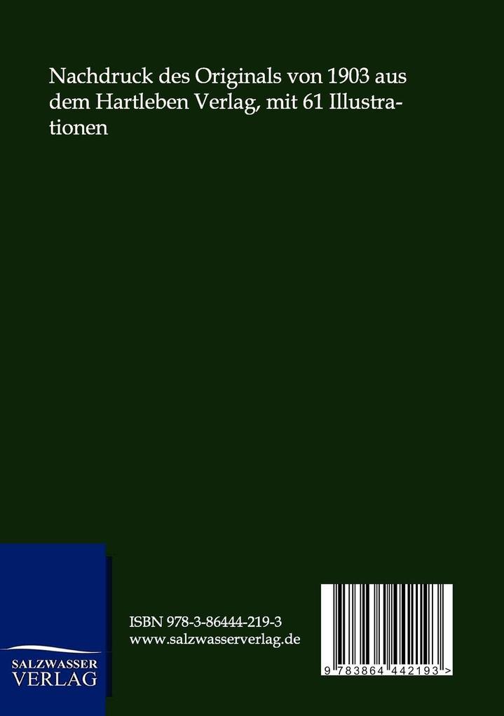 Weitere Ansicht: Die Gebrüder Kip | Jules Verne