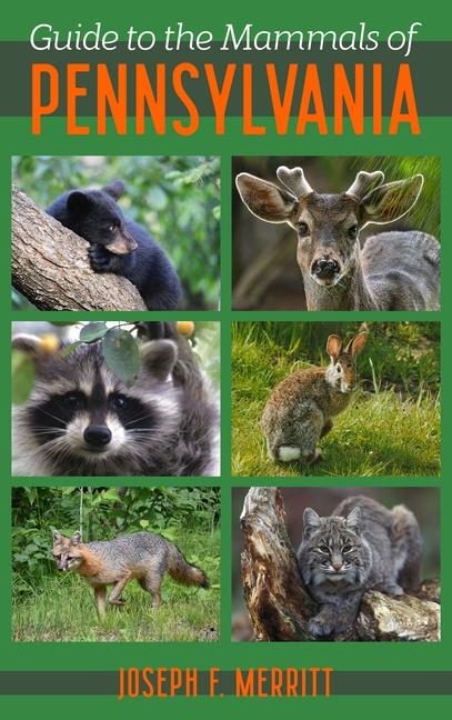 Produktbild: Guide to the Mammals of Pennsylvania | Joseph Merritt