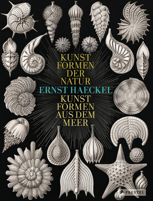Produktbild: Ernst Haeckel | Olaf Breidbach
