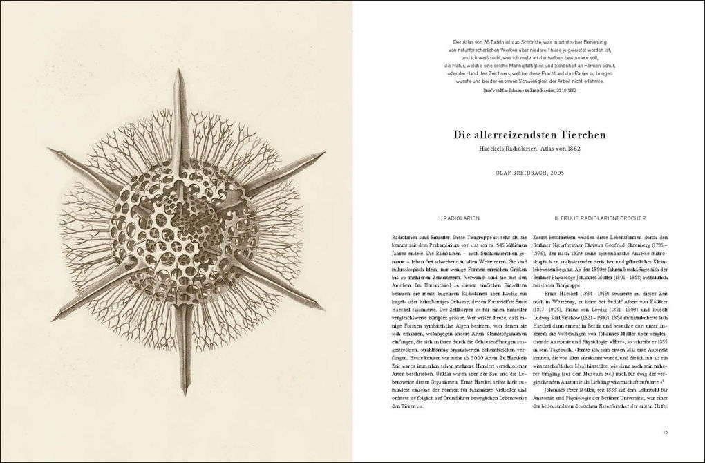 Weitere Ansicht: Ernst Haeckel | Olaf Breidbach