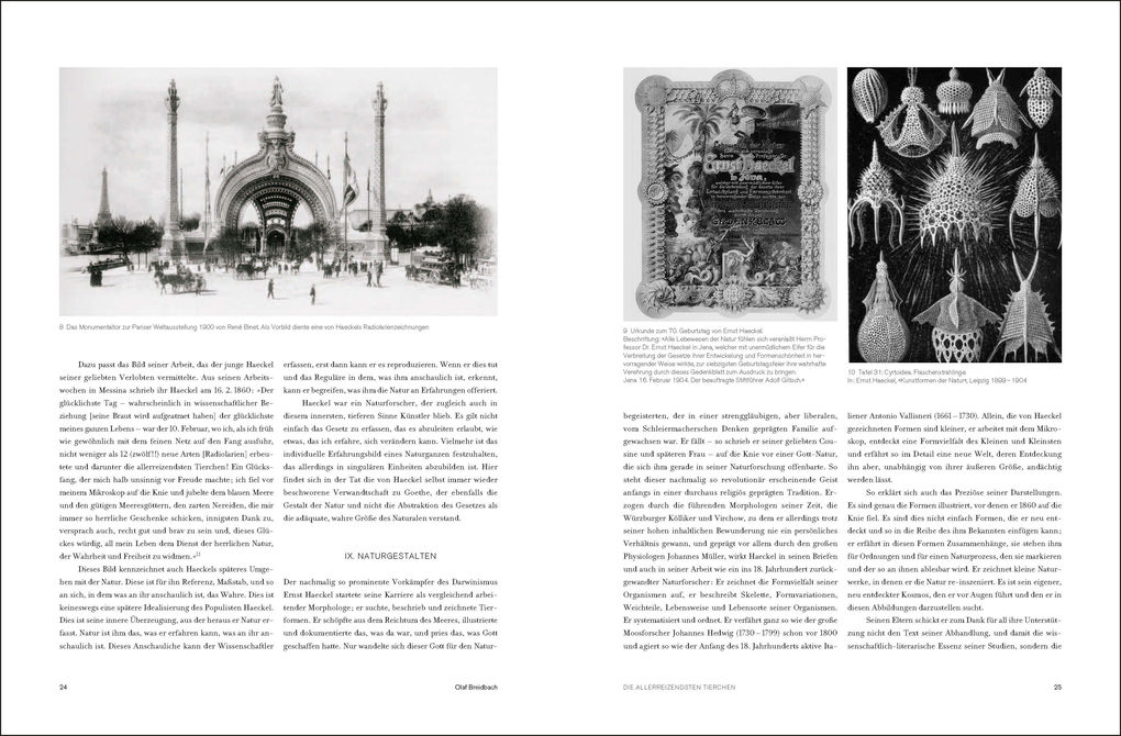 Weitere Ansicht: Ernst Haeckel | Olaf Breidbach