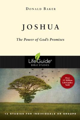 Joshua: The Power of God's Promise als Taschenbuch