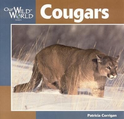 Cougar als Taschenbuch
