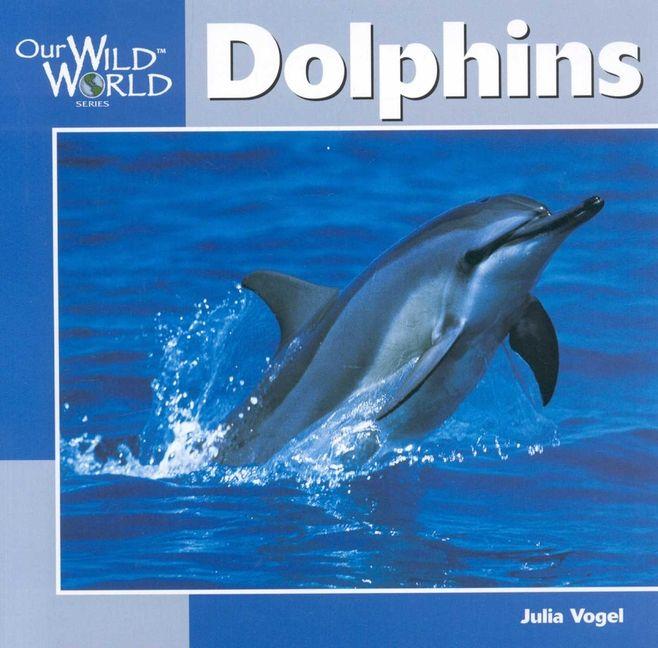 Produktbild: Dolphins | Julia Vogel