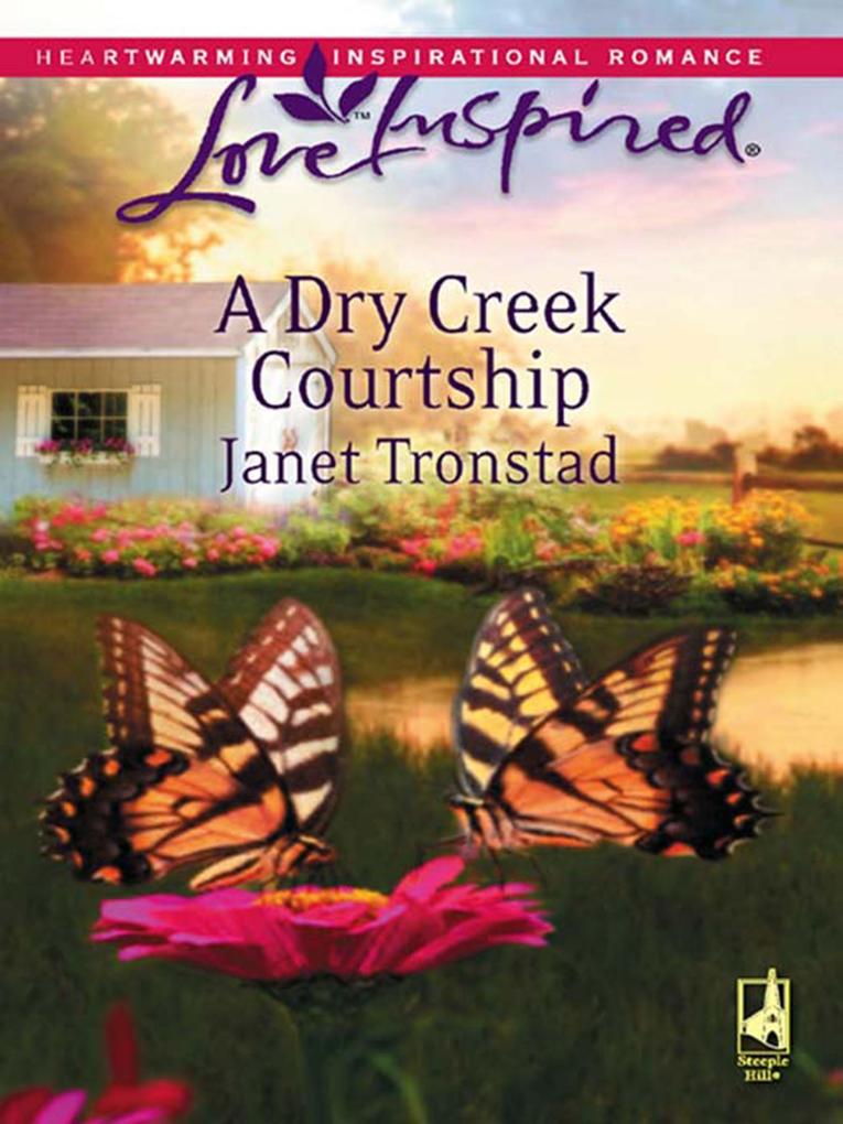Produktbild: A Dry Creek Courtship | Janet Tronstad