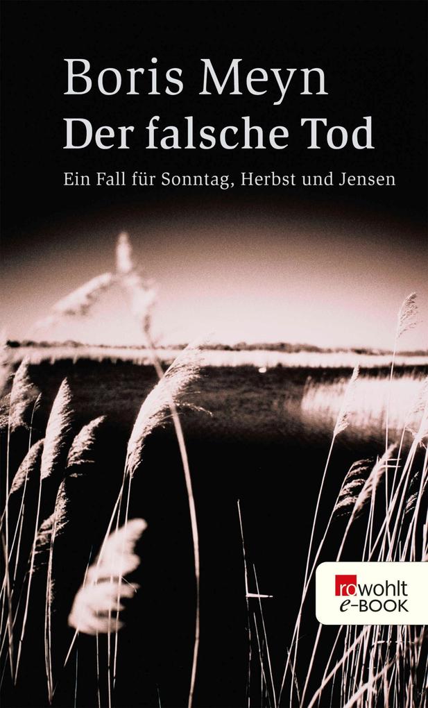 Produktbild: Der falsche Tod | Boris Meyn
