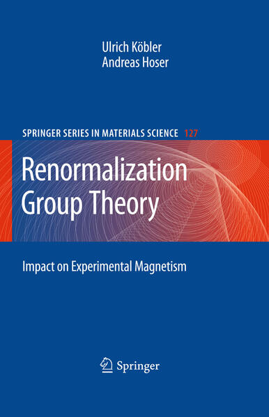 Produktbild: Renormalization Group Theory | Andreas Hoser, Ulrich Köbler