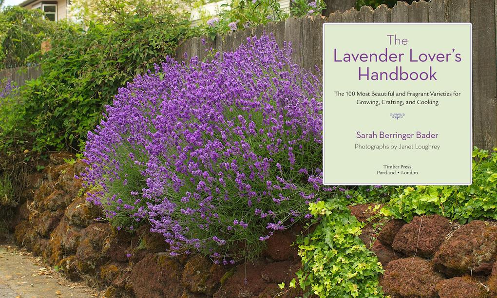 Weitere Ansicht: The Lavender Lover's Handbook | Sarah Berringer Bader