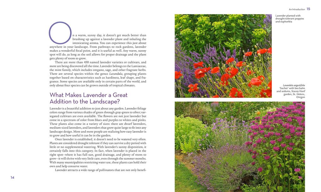 Weitere Ansicht: The Lavender Lover's Handbook | Sarah Berringer Bader