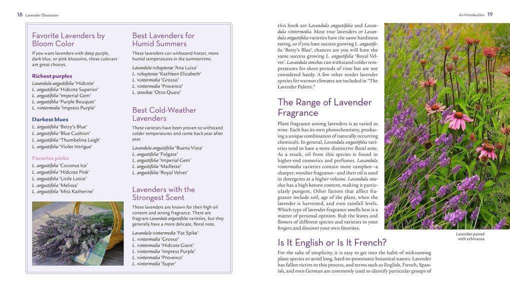 Weitere Ansicht: The Lavender Lover's Handbook | Sarah Berringer Bader