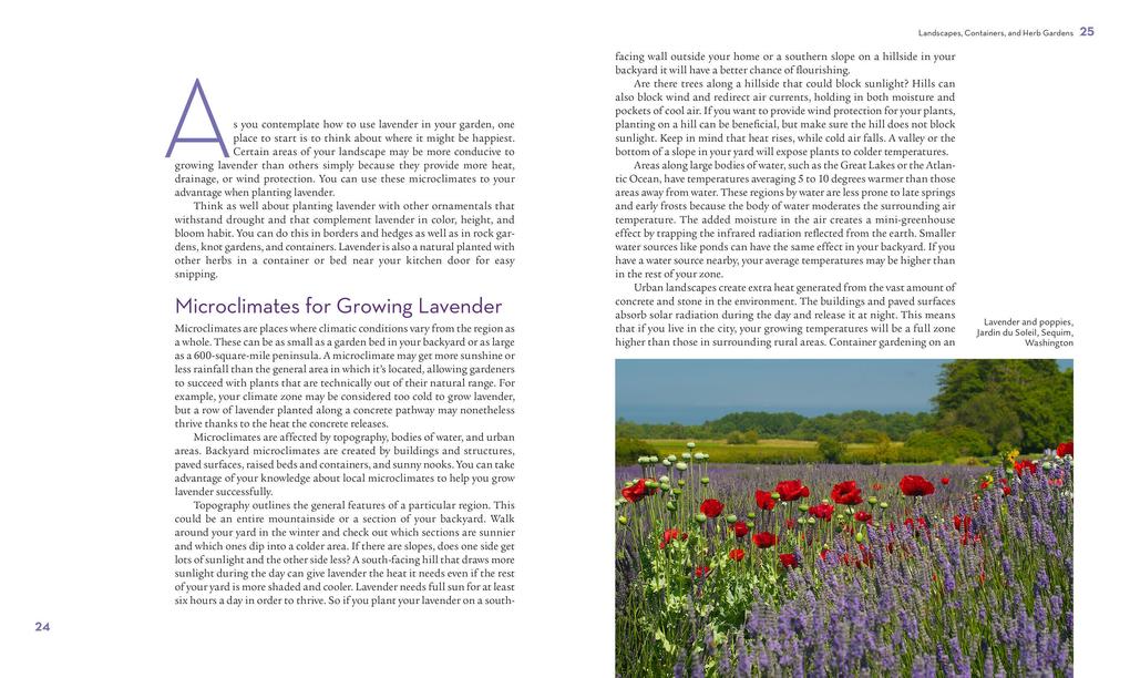 Weitere Ansicht: The Lavender Lover's Handbook | Sarah Berringer Bader