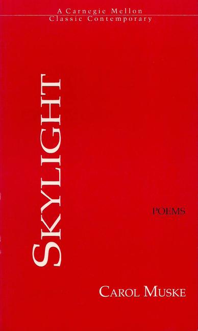Skylight als Taschenbuch
