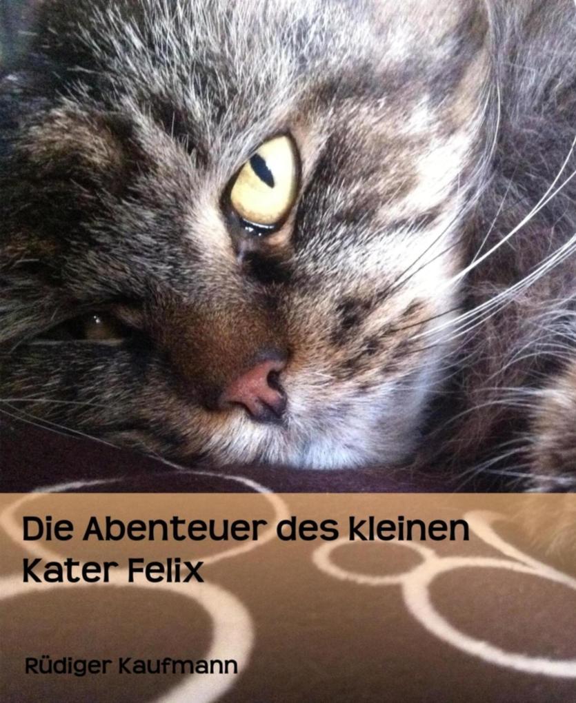Produktbild: Die Abenteuer des kleinen Kater Felix | Rüdiger Kaufmann