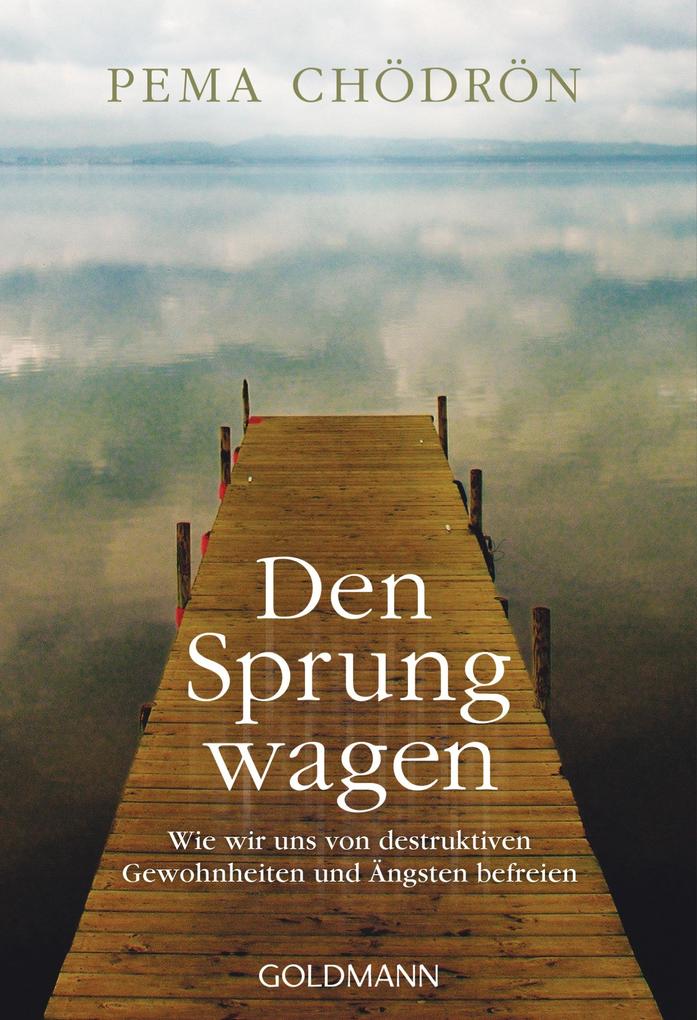 Produktbild: Den Sprung wagen | Pema Chödrön