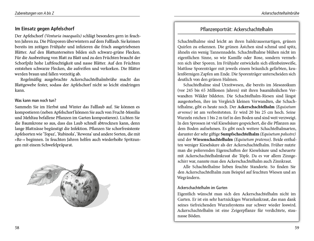 Weitere Ansicht: Beinwelljauche, Knoblauchtee & Co. | Natalie Faßmann
