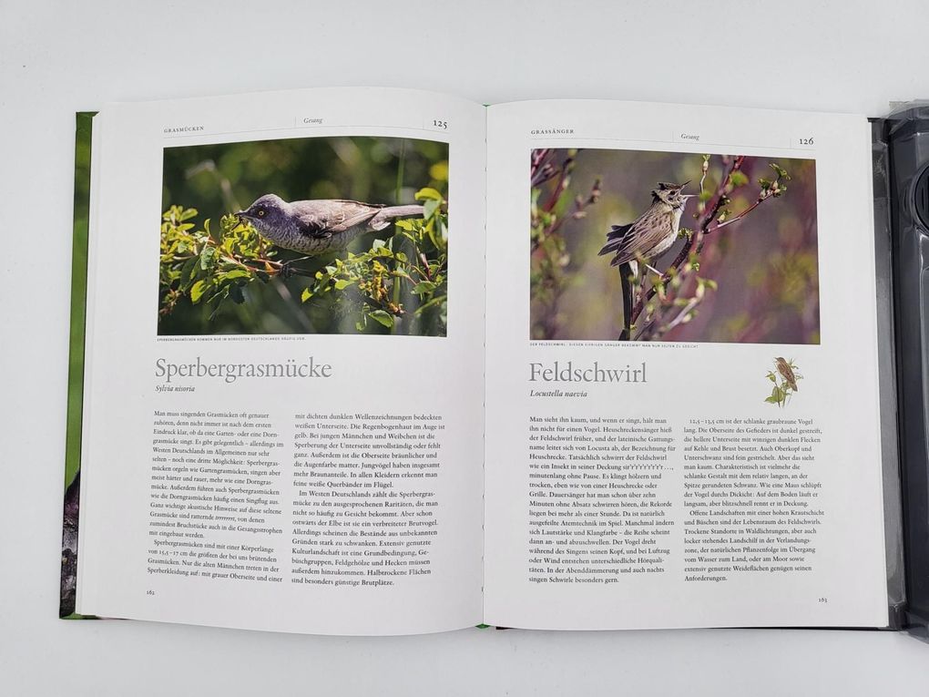 Weitere Ansicht: Vogelstimmen | Jan Pedersen, Lars Svensson, Einhard Bezzel