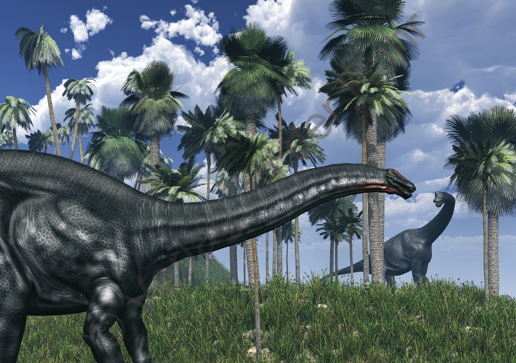 Weitere Ansicht: 80 Bild-Impulse als Erzähl- und Schreibanlässe | Redaktionsteam Verlag an der Ruhr