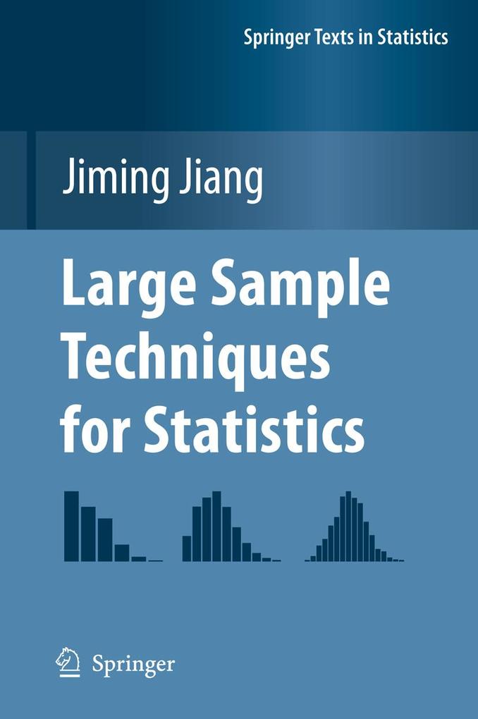 Produktbild: Large Sample Techniques for Statistics | Jiming Jiang
