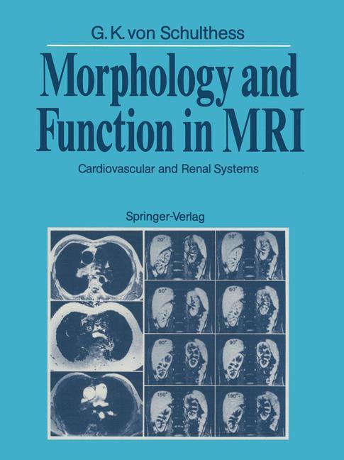 Morphology and Function in MRI als Taschenbuch
