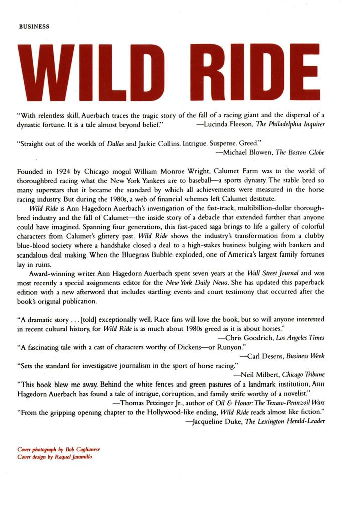 Weitere Ansicht: Wild Ride | Ann Hagedorn Auerbach
