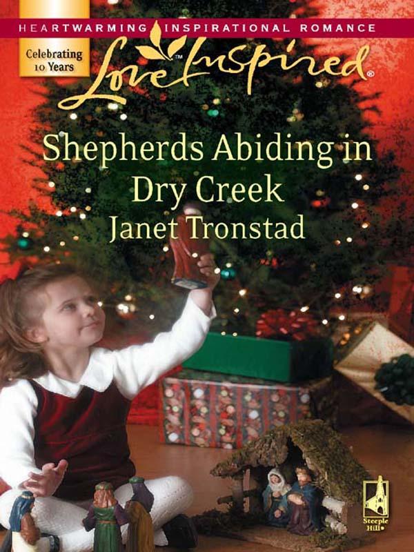 Produktbild: Shepherds Abiding in Dry Creek | Janet Tronstad