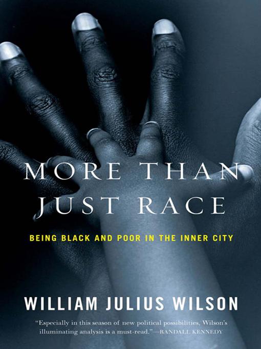 Produktbild: More than Just Race | William Julius Wilson