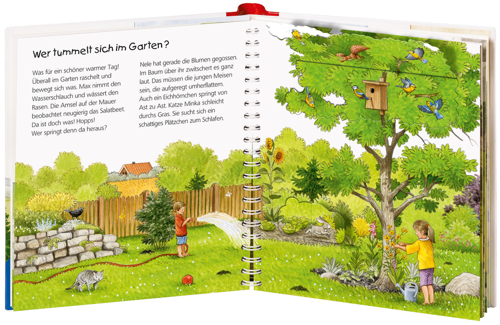 Weitere Ansicht: Wieso? Weshalb? Warum? junior, Band 49: Wer lebt im Garten? | Patricia Mennen