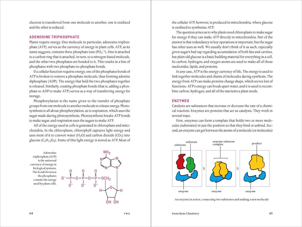 Weitere Ansicht: Teaming with Nutrients | Jeff Lowenfels