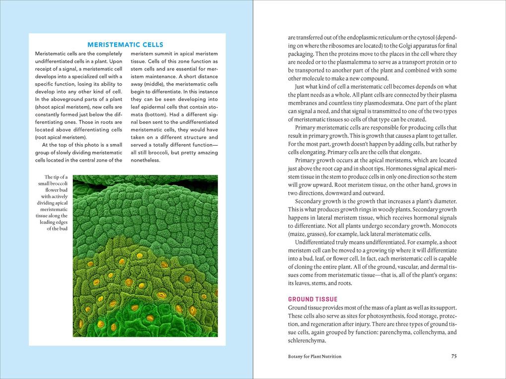 Weitere Ansicht: Teaming with Nutrients | Jeff Lowenfels