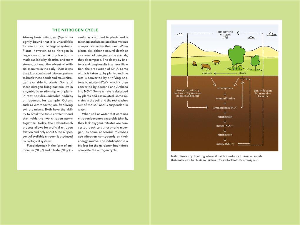 Weitere Ansicht: Teaming with Nutrients | Jeff Lowenfels