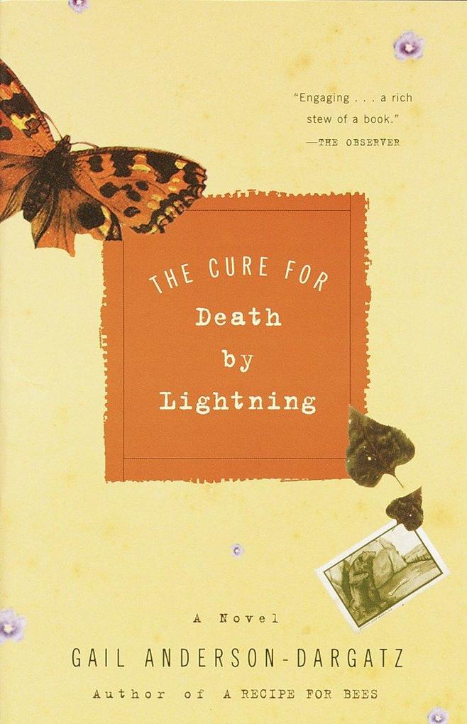 The Cure for Death by Lightning als Taschenbuch